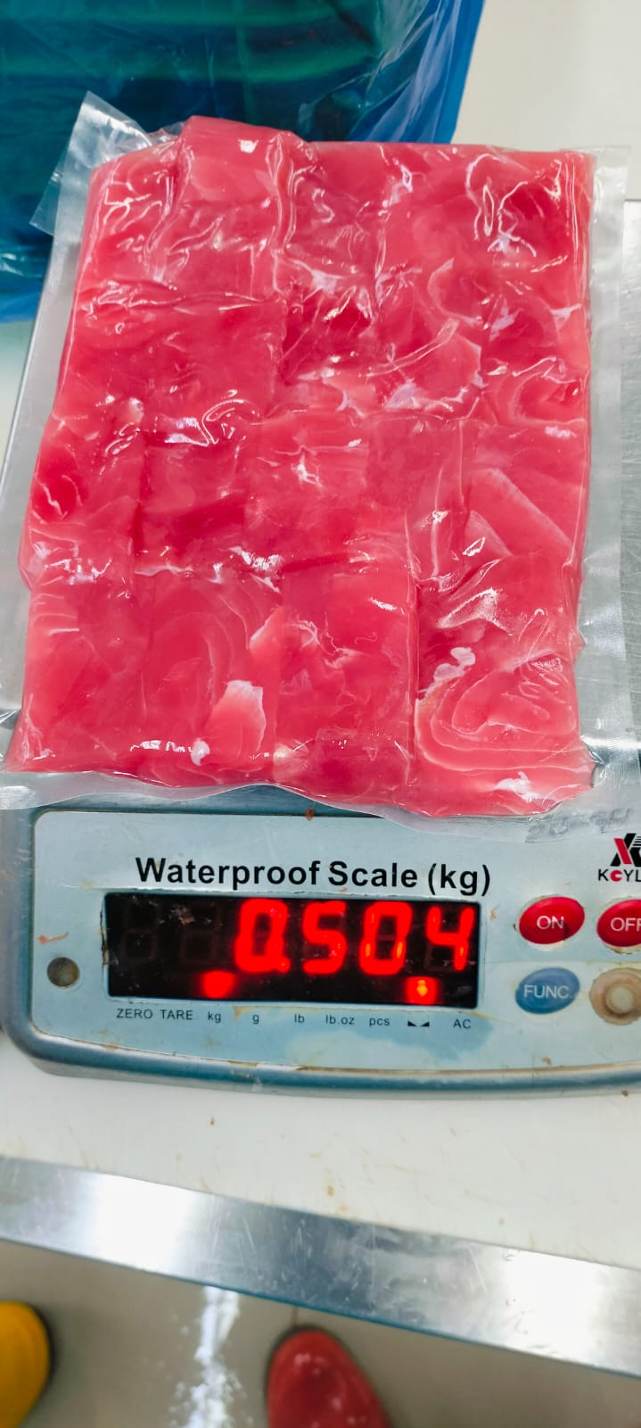 Tuna Steak Portion - Product 7